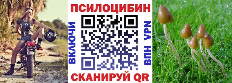 blacksprut маркетплейс  Удомля  Галлюциногенные грибы мухоморы 